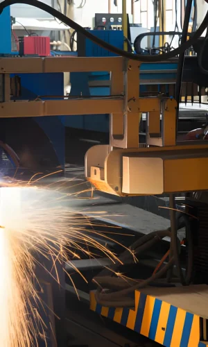 istockphoto-894360380-612x612_3